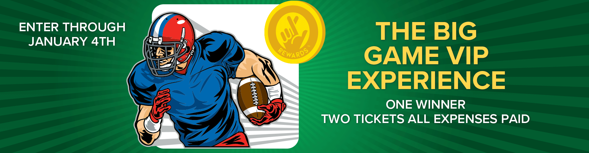 the big game vip experience