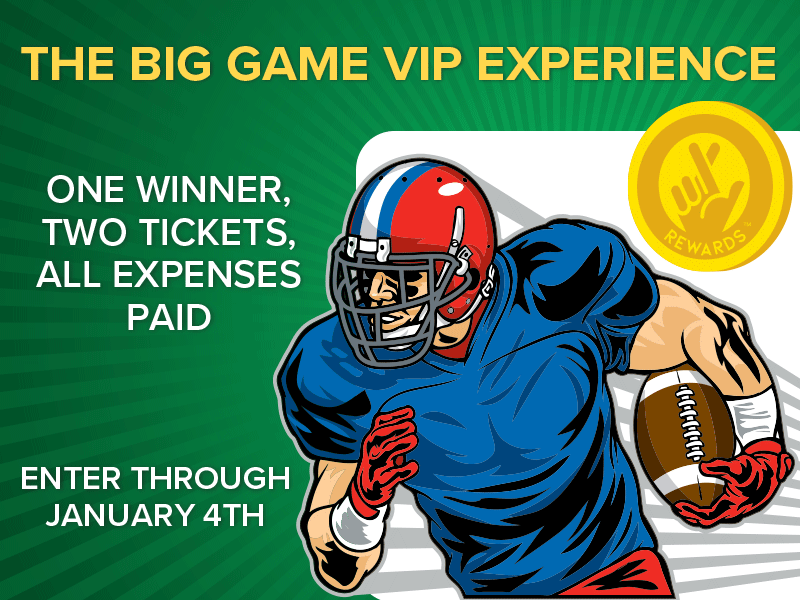 the big game vip experience