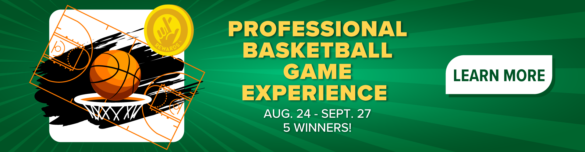pro basketball game experience