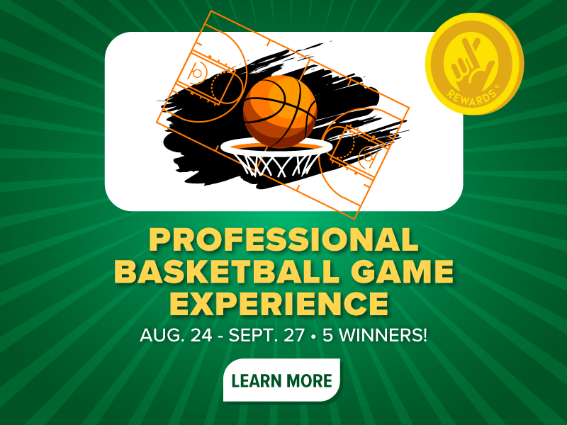 pro basketball game experience