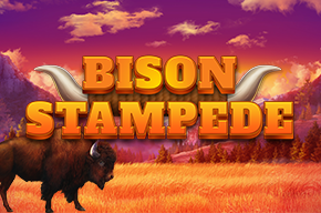 bison stampede