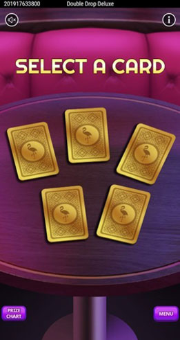 Double-Drop-Deluxe-Bonus-screen