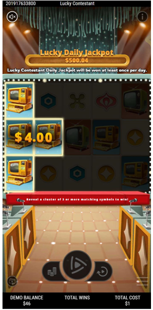 lucky-contestant-Details-Page-2