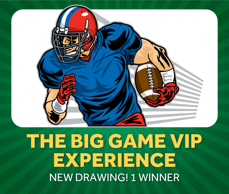 big game vip experience