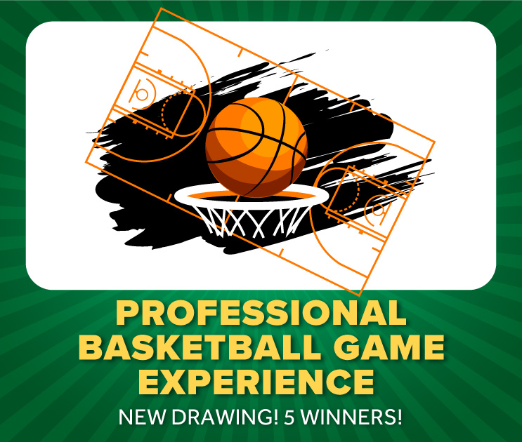 pro basketball game experience