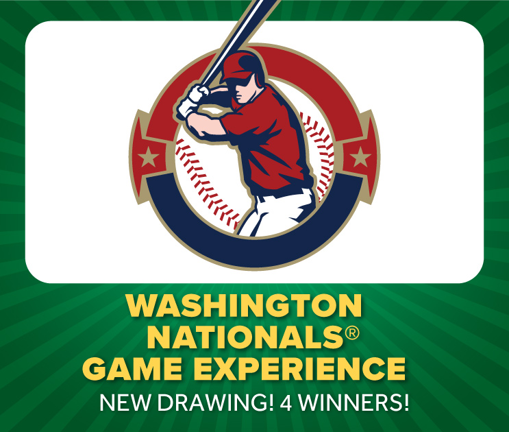 washington nationals game experience
