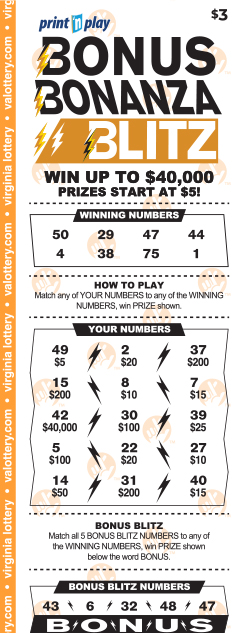 Bonus Bonanza Blitz