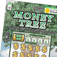 MONEY TREE