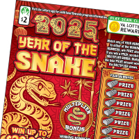 Year of the Snake ticket