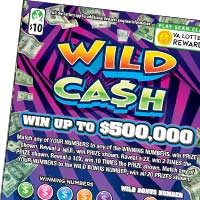 Wild Cash ticket